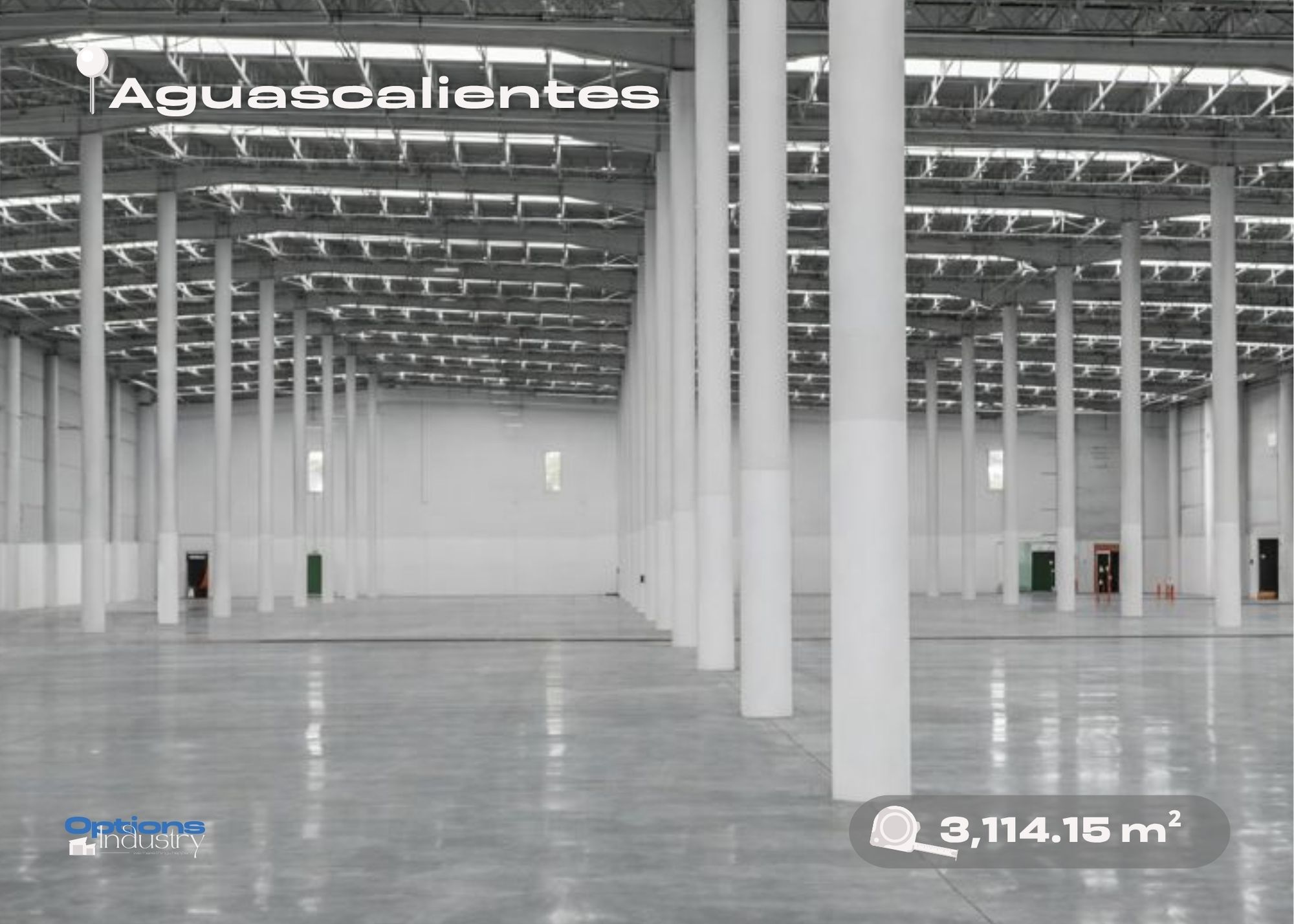 Industrial warehouse for rent in Aguascalientes, Aguascalientes