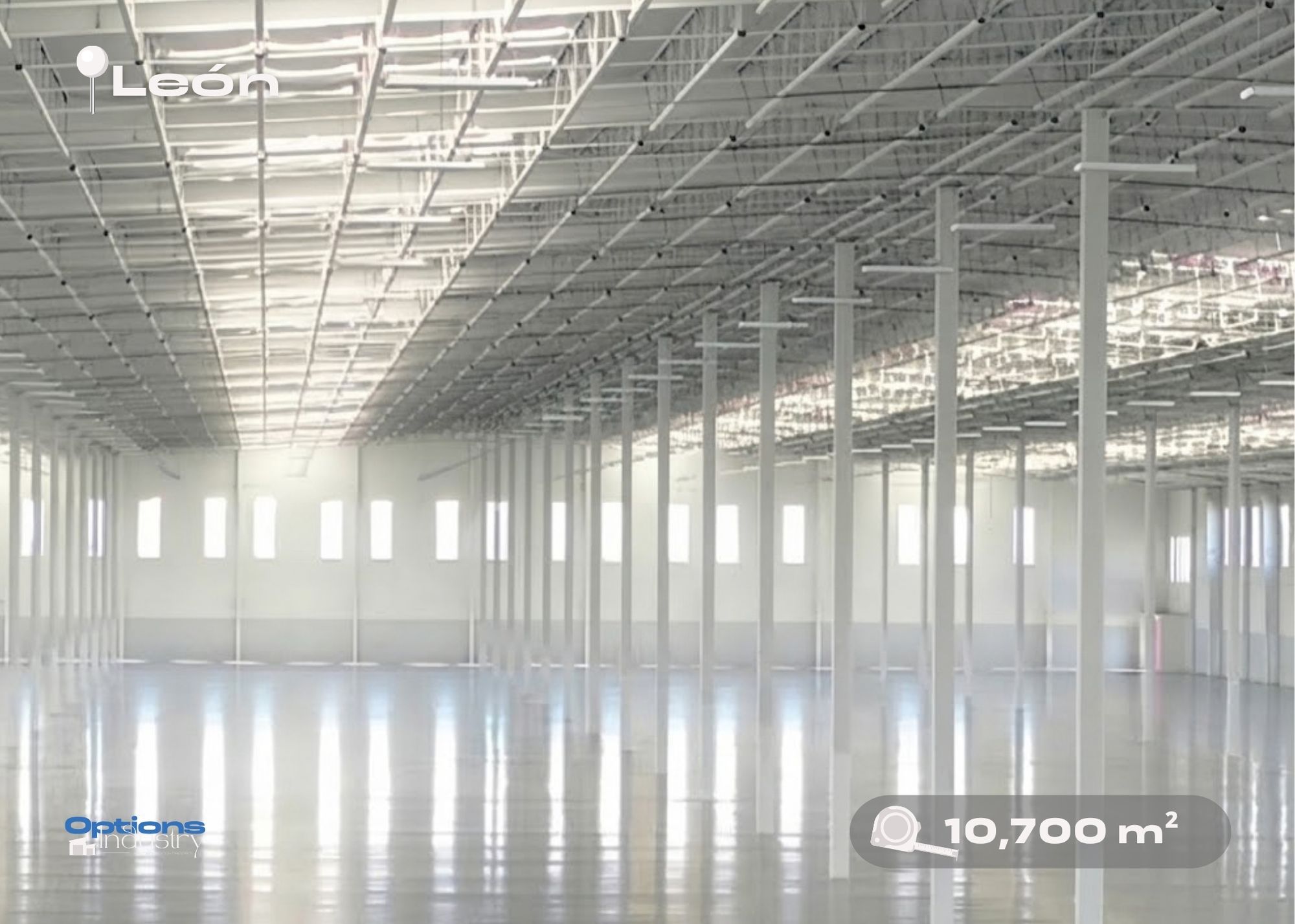 Warehouse for rent in León-Silao, León